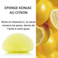 Eponge konjac citron visage2