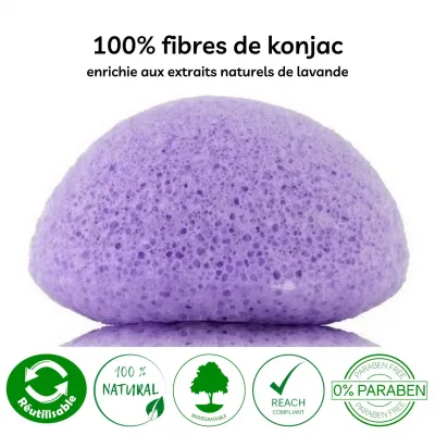 Eponge konjac lavande visage