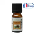 HE Pin Sylvestre 10ml