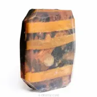 Savon lion 2