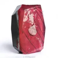 Savon scorpion 2