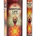 Encens HEM Vie spirituelle 20gr