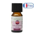 Synergie HE Escale en Provence - 10 ml